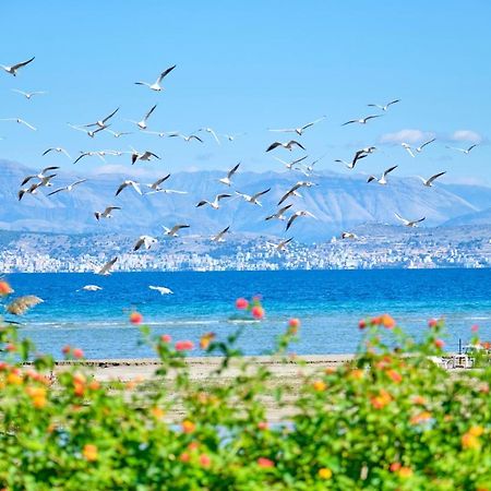 Nikos Kalamaki Corfu Apraos Bagian luar foto